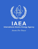 Consultancy Meeting on the Development and Implementation of a new CRP ‘‘Options and Technologies for Managing the Back End of the Research Reactor Nuclear Fuel Cycle’’, IAEA, Vienna, 15-18 July, 2014